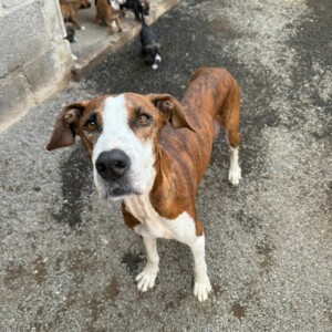 Mama Kira und ihre 10 Babys