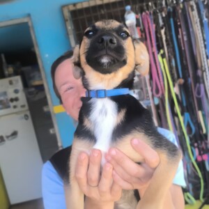 Rudi
